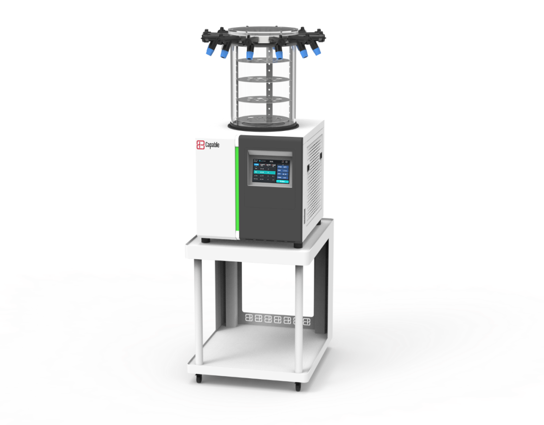 【展会动态】bsport仪器 CSBM 2025 中国生物材料大会精彩回顾!
