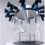 bsport厚壁茄型瓶 1000ml 冻干机 专用外挂瓶